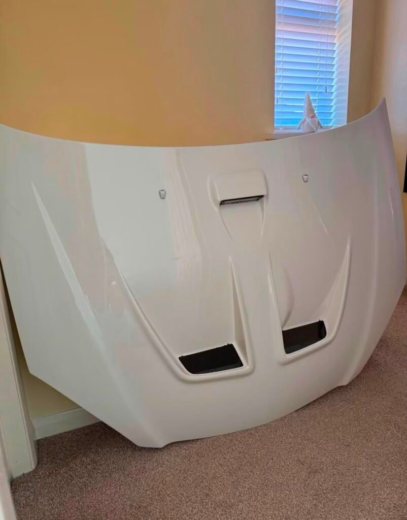 Mugen bonnet DC5